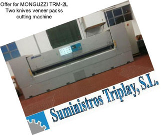 Offer for MONGUZZI TRM-2L Two knives veneer packs cutting machine