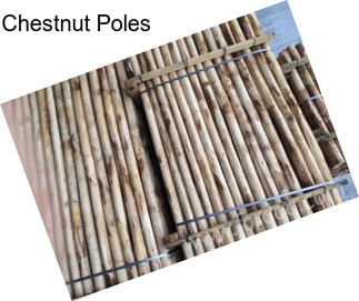 Chestnut Poles