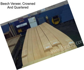 Beech Veneer, Crowned And Quartered