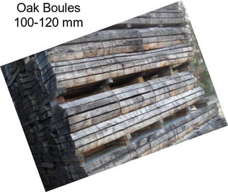 Oak Boules 100-120 mm