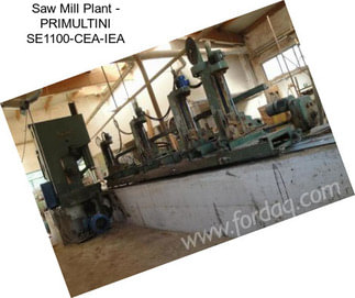 Saw Mill Plant - PRIMULTINI SE1100-CEA-IEA