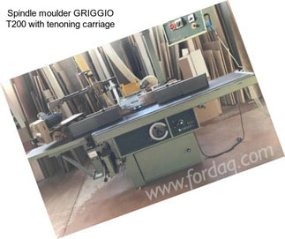 Spindle moulder GRIGGIO T200 with tenoning carriage