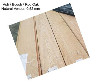 Ash / Beech / Red Oak Natural Veneer, 0.52 mm