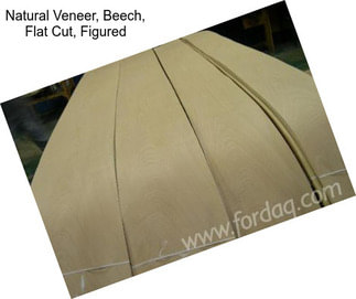 Natural Veneer, Beech, Flat Cut, Figured