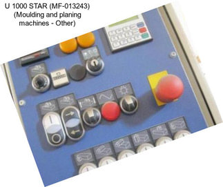 U 1000 STAR (MF-013243) (Moulding and planing machines - Other)