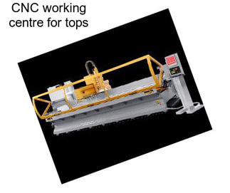 CNC working centre for tops