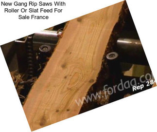 New Gang Rip Saws With Roller Or Slat Feed For Sale France