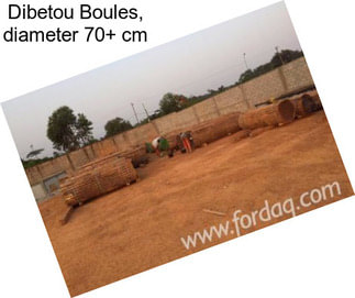 Dibetou Boules, diameter 70+ cm