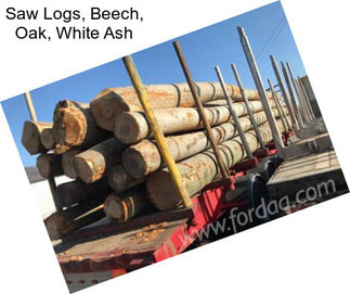 Saw Logs, Beech, Oak, White Ash