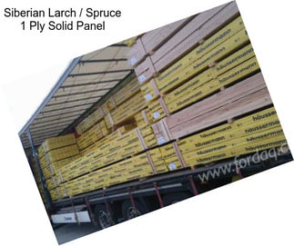 Siberian Larch / Spruce 1 Ply Solid Panel