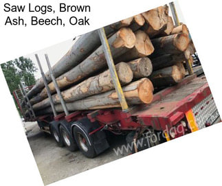 Saw Logs, Brown Ash, Beech, Oak