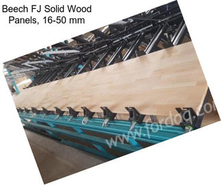 Beech FJ Solid Wood Panels, 16-50 mm