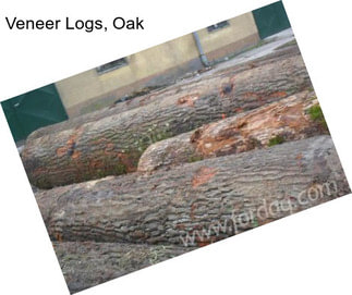 Veneer Logs, Oak