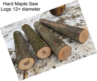 Hard Maple Saw Logs 12+ diameter