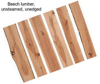 Beech lumber, unsteamed, unedged