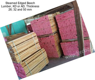 Steamed Edged Beech Lumber, KD or AD, Thickness 26; 32 and 50 mm