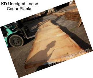 KD Unedged Loose Cedar Planks