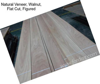 Natural Veneer, Walnut, Flat Cut, Figured