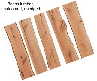 Beech lumber, unsteamed, unedged