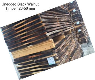 Unedged Black Walnut Timber, 26-50 mm