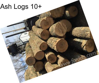 Ash Logs 10\