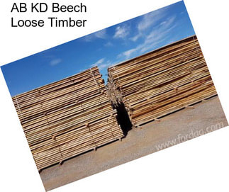 AB KD Beech Loose Timber