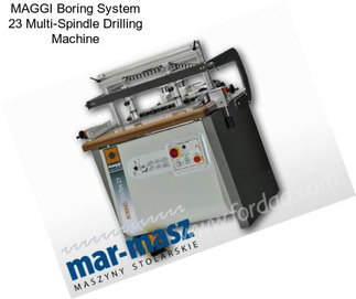 MAGGI Boring System 23 Multi-Spindle Drilling Machine