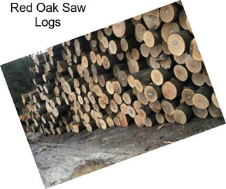 Red Oak Saw Logs