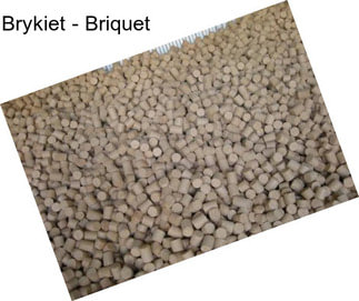 Brykiet - Briquet