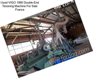 Used VIGO 1980 Double End Tenoning Machine For Sale France