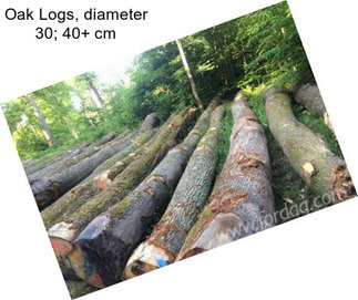 Oak Logs, diameter 30; 40+ cm