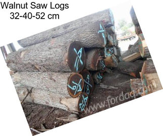 Walnut Saw Logs 32-40-52 cm