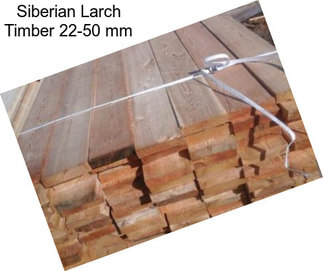 Siberian Larch Timber 22-50 mm