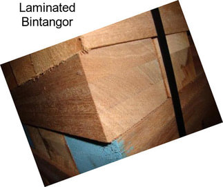 Laminated Bintangor