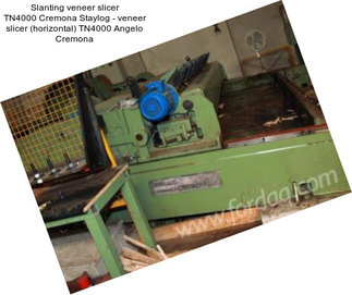Slanting veneer slicer TN4000 Cremona Staylog - veneer slicer (horizontal) TN4000 Angelo Cremona