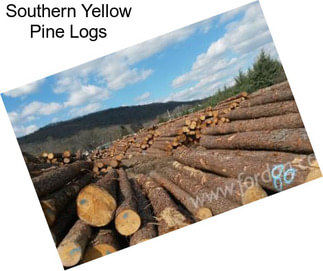 Southern Yellow Pine Logs