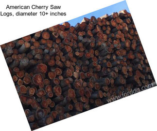 American Cherry Saw Logs, diameter 10+ inches