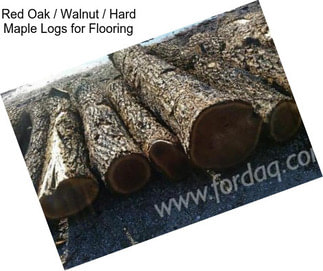 Red Oak / Walnut / Hard Maple Logs for Flooring