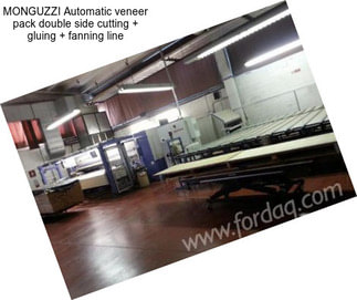 MONGUZZI Automatic veneer pack double side cutting + gluing + fanning line