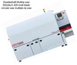 Doubleshaft Multirip saw SQUALO 420 multi blade circular saw multiple rip saw