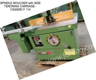 SPINDLE MOULDER with SIDE TENONING CARRIAGE - CASADEI F 114