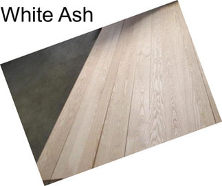 White Ash