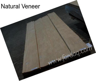 Natural Veneer