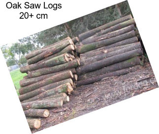 Oak Saw Logs 20+ cm