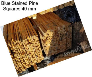 Blue Stained Pine Squares 40 mm