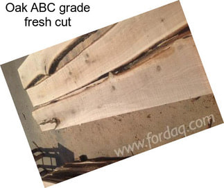 Oak ABC grade fresh cut