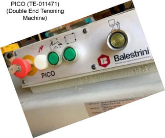 PICO (TE-011471) (Double End Tenoning Machine)