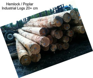 Hemlock / Poplar Industrial Logs 20+ cm