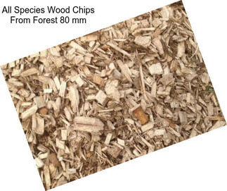 All Species Wood Chips From Forest 80 mm