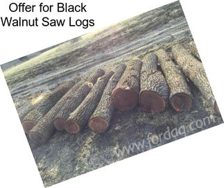 Offer for Black Walnut Saw Logs